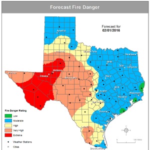forecast 2-1